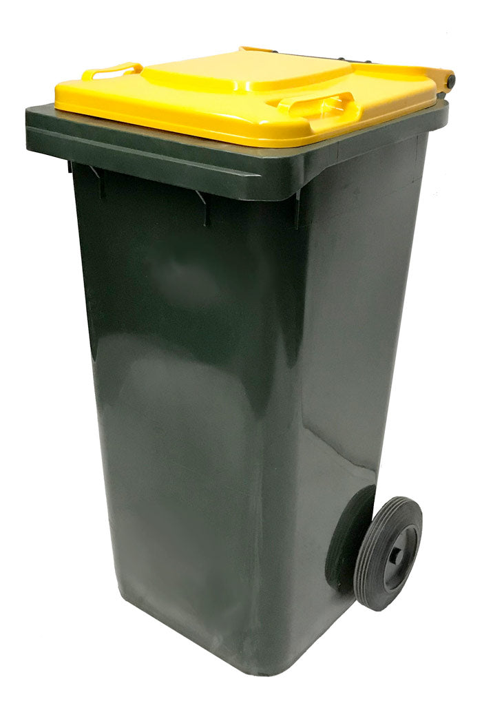 Professional Bin Cleaning Service