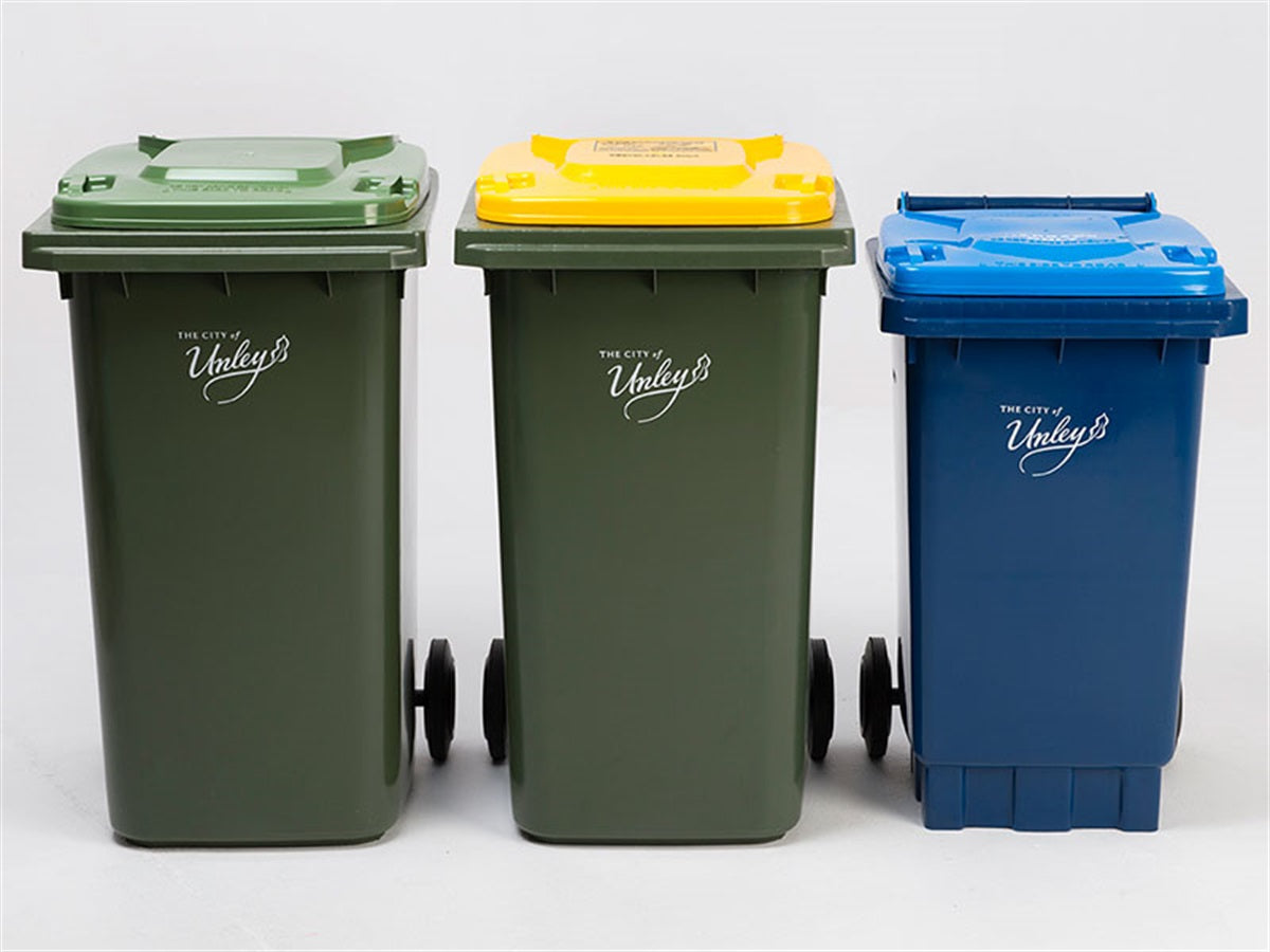 Professional Bin Cleaning Service